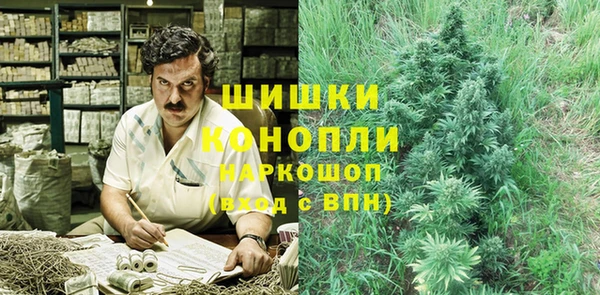 прущие крисы Мегион