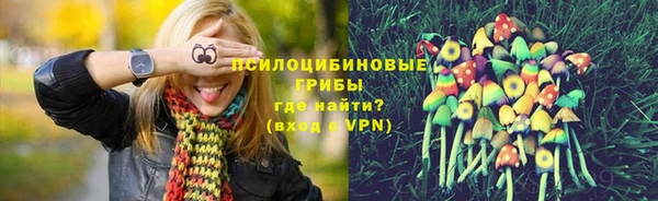 прущие крисы Мегион