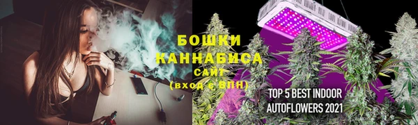 крисы Медногорск